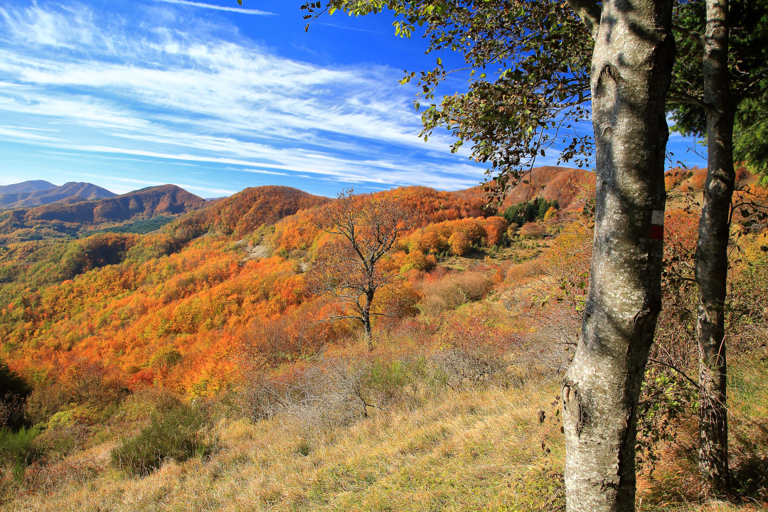 alpe di cavarzano