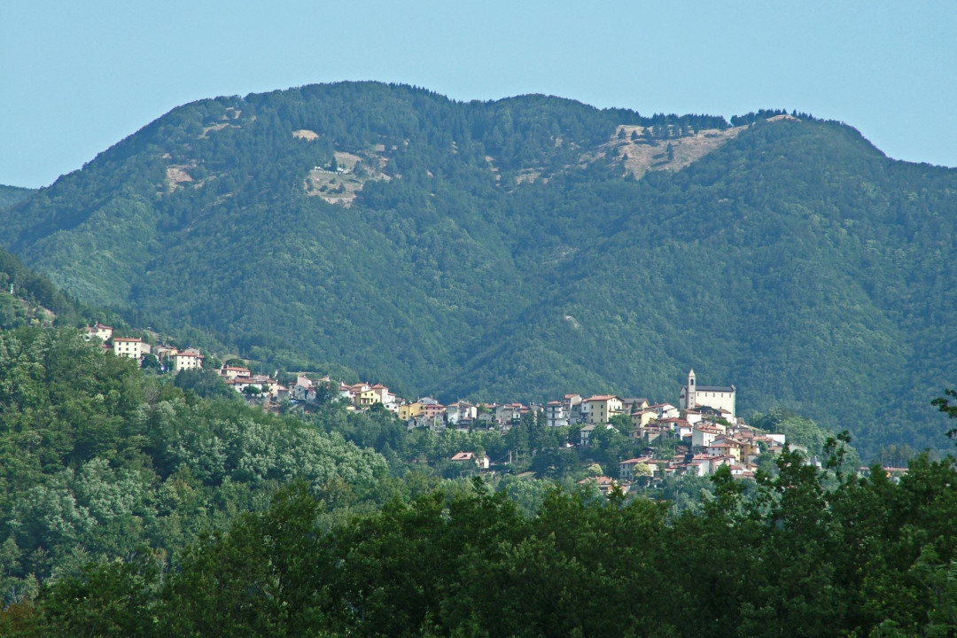 Cavarzano