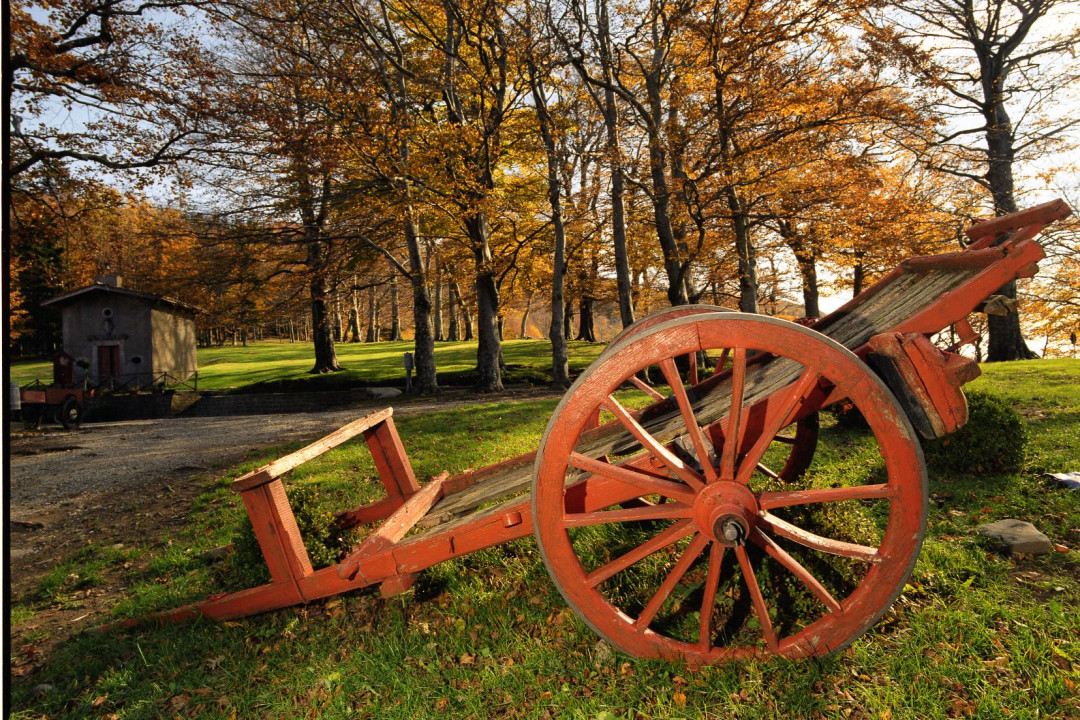 Cascina di Spedaletto