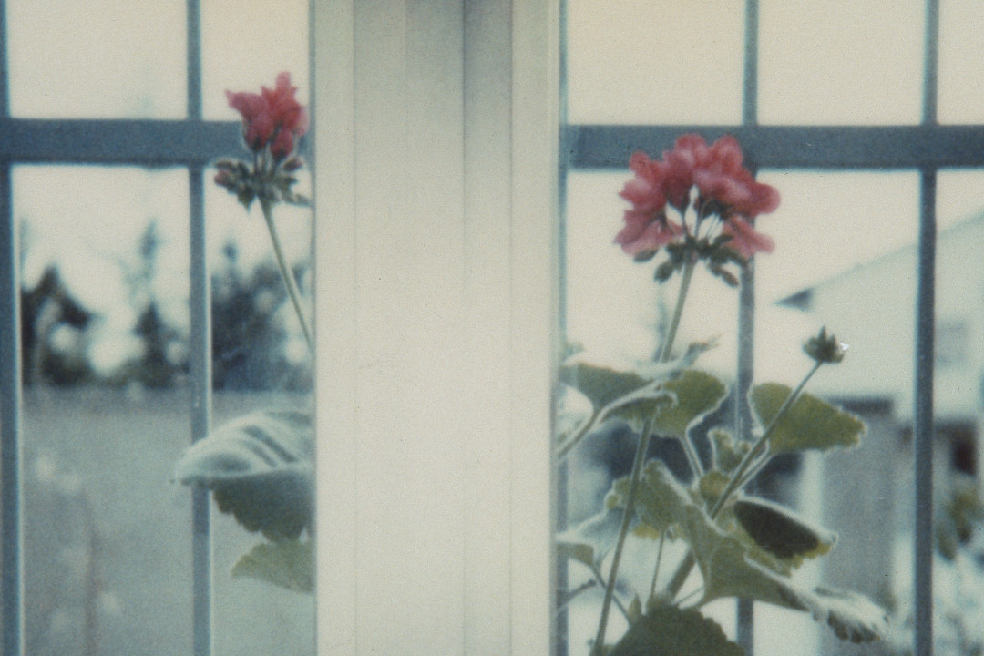 Foto di Luigi Ghirri