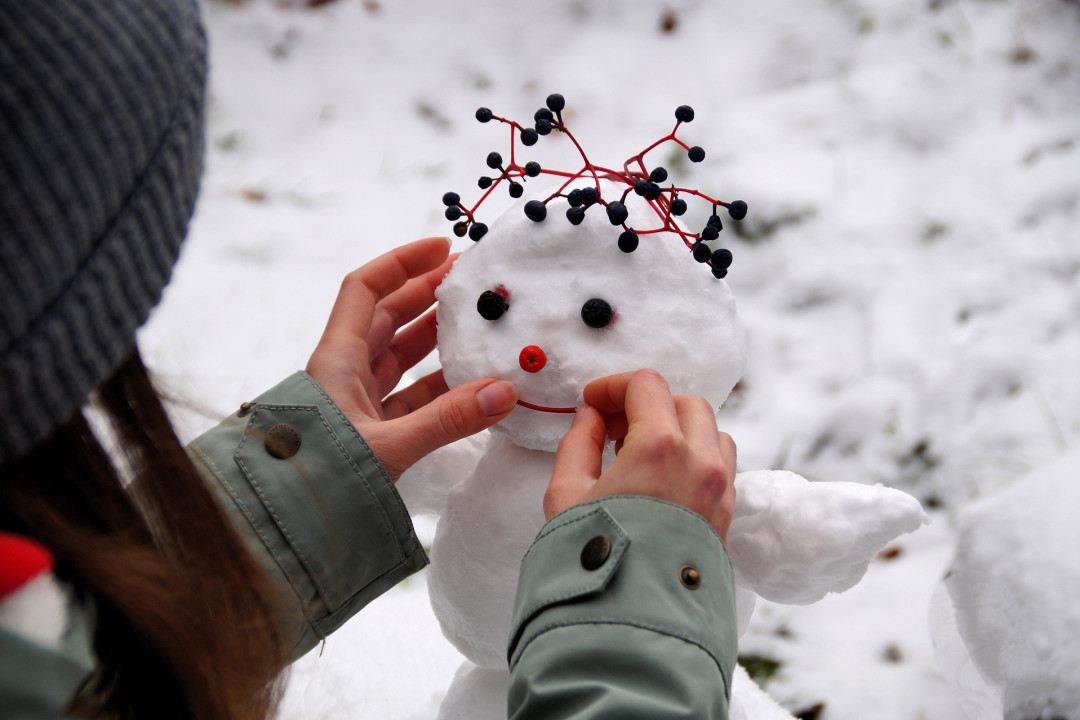 Locandina: Storie sotto la neve