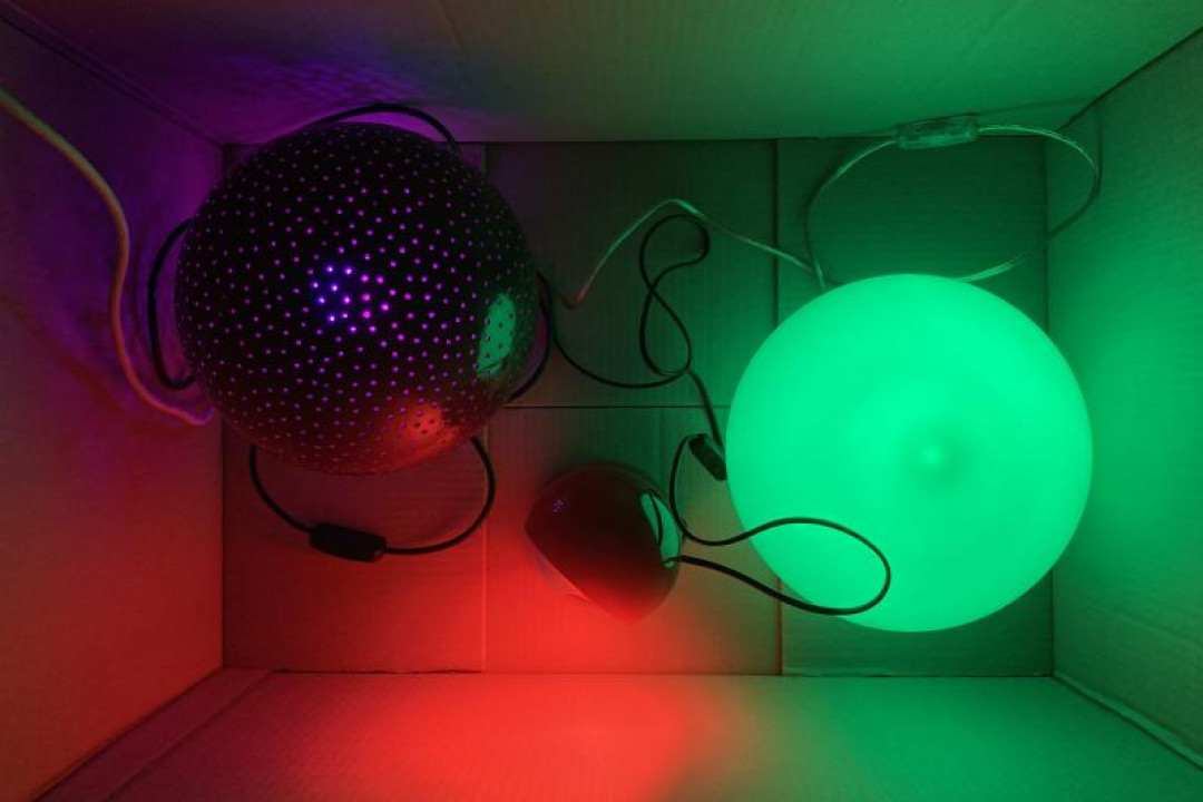 copertina della mostra "Light Lights"