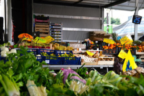 Pianeta Verde - Mercato bio e di filiera corta