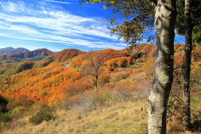 alpe di cavarzano