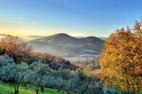 Da Figline a Figline: il serpentino di Prato