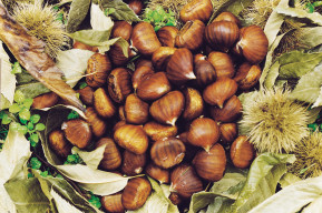 Castagne