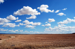 Letture tra cielo e terra