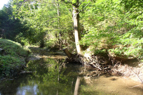 Summer Trek, il solstizio d'estate a Montepiano