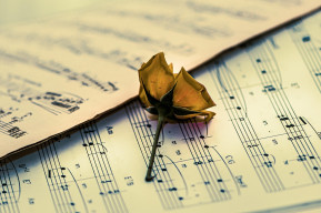 Espressione musicale - Il suono che nasce da dentro