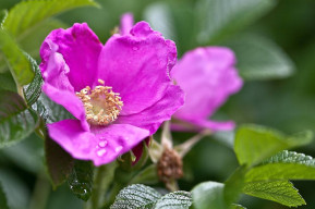 Talk - Vampate di libertà