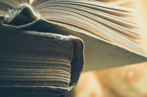 La cultura umanistica