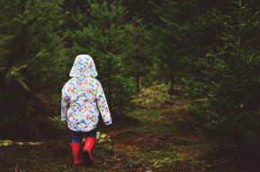 Il Bosco delle Carezze: dove nascono nidi