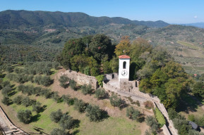 Colline di carmignano