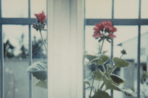 Luigi Ghirri. Polaroid '79-'83