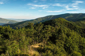 Monte Javello