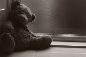 Felino, vita di un celestino