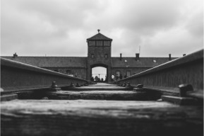Mostra temporanea: KZ Auschwitz – 432 Marian Kołodziej