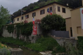 Asino + Dead Crayons