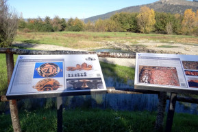 Visita guidata all'area archeologica di Gonfienti