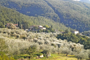 Anello sulle nostre colline: Fabio-Savignano-Foce ai Cerri-Fabio