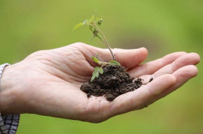 Pianeta Verde - Mercato Bio di filiera corta e dell’economia circolare