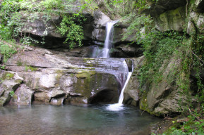 Carigiola