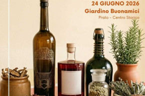 Il vino detto Vermouth