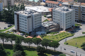 Swing in Spring Festival