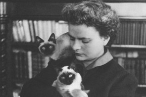 Le immagini del femminile